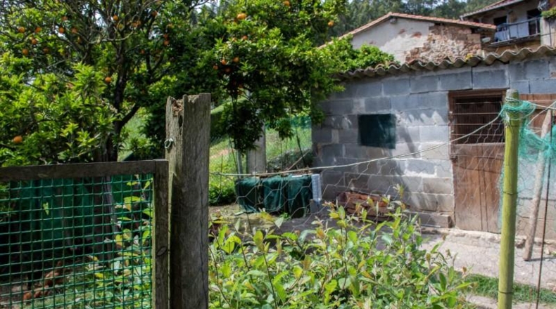 Asturias - Colunga - 40m2