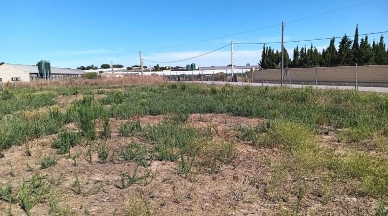 Cádiz - Sanlúcar de Barrameda - 2500m2