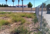 Terreny no urbanitzable en venda a la España, Sanlúcar de Barrameda, ref.: TR314115 foto