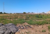 Terreny no urbanitzable en venda a la España, Sanlúcar de Barrameda, ref.: TR314115 foto