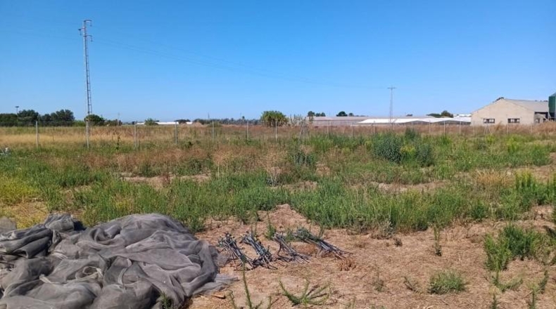 Cádiz - Sanlúcar de Barrameda - 2500m2