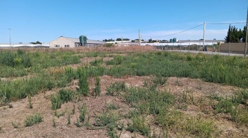 Cádiz - Sanlúcar de Barrameda - 2500m2