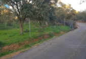Parcel·la urbanitzable en venda a la España, Badajoz, ref.: TR316149 foto
