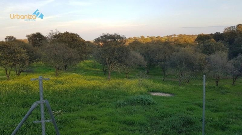 Badajoz - Badajoz - 7270m2