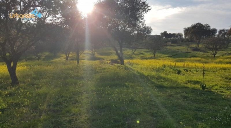 Badajoz - Badajoz - 7270m2