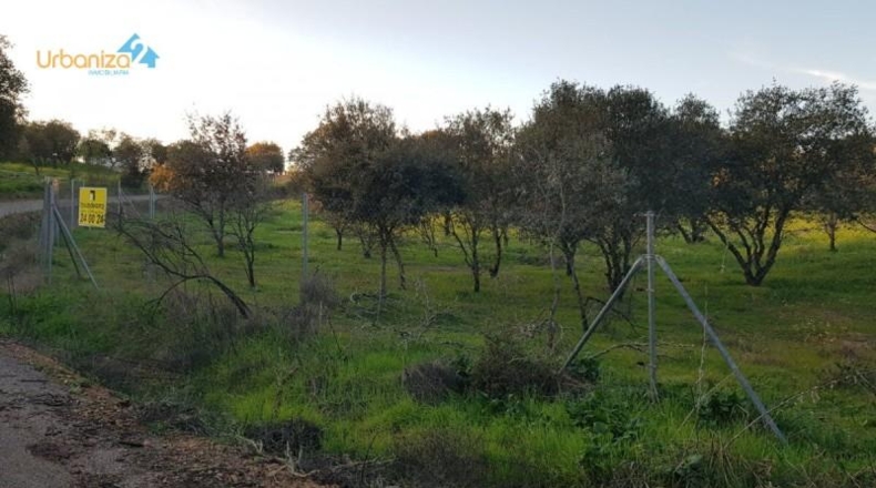 Badajoz - Badajoz - 7270m2