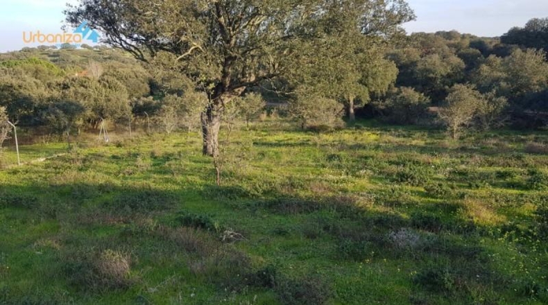 Badajoz - Badajoz - 7270m2