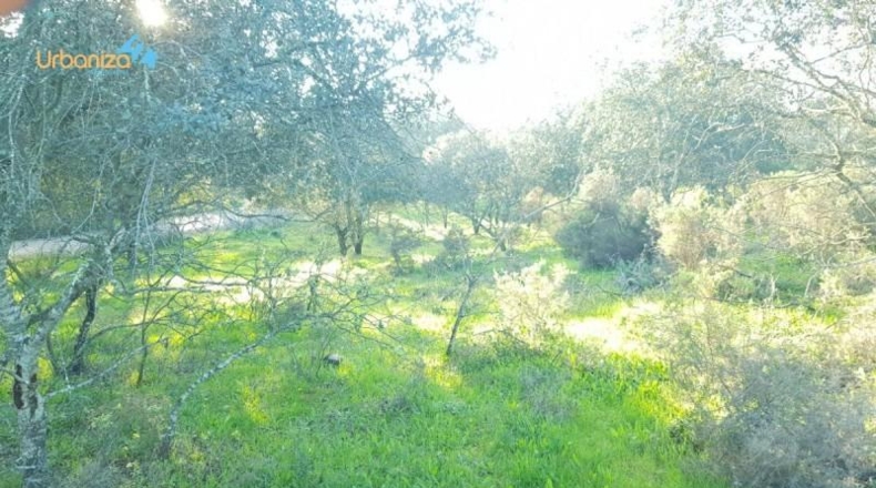 Badajoz - Badajoz - 7270m2