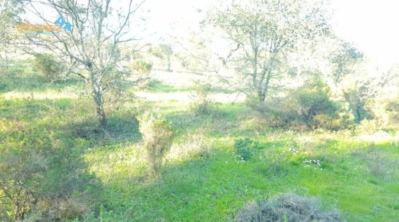 Badajoz - Badajoz - 7270m2