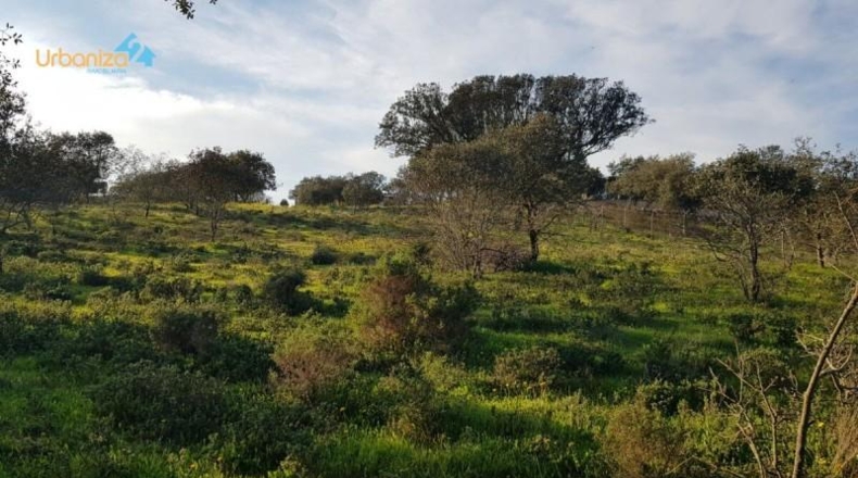 Badajoz - Badajoz - 7270m2