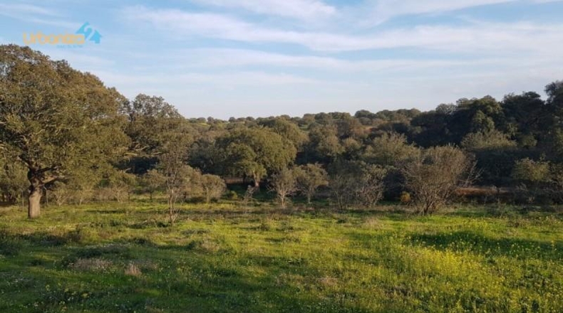 Badajoz - Badajoz - 7270m2