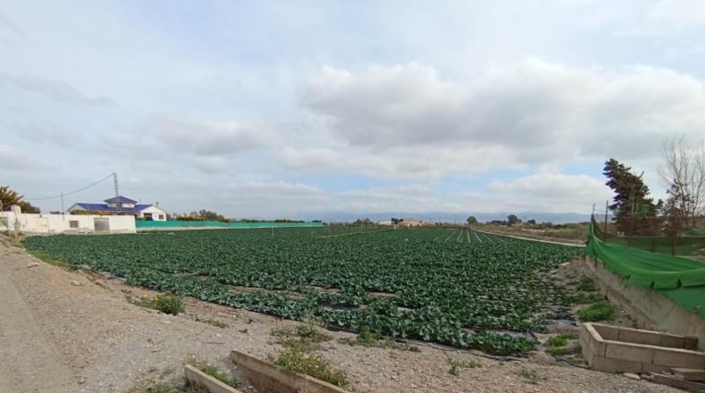 Murcia - Puerto Lumbreras - 5000m2