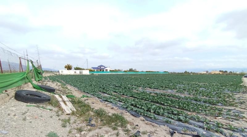 Murcia - Puerto Lumbreras - 5000m2