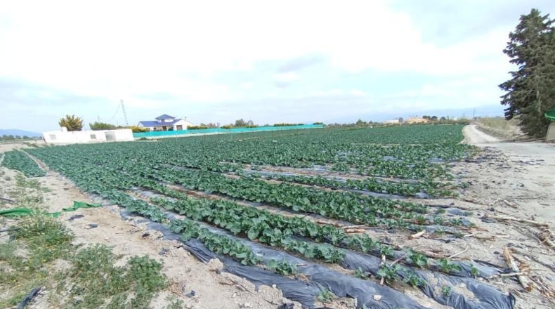 Murcia - Puerto Lumbreras - 5000m2