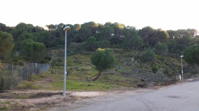 Córdoba - Córdoba - 1750m2