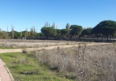 Parcela urbanizable en venta en la España, Aldeamayor de San Martín, ref: TR117174 foto