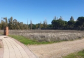 Parcela urbanizable en venta en la España, Aldeamayor de San Martín, ref: TR117174 foto