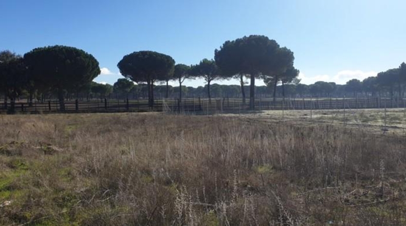 Valladolid - Aldeamayor de San Martín - 2264m2
