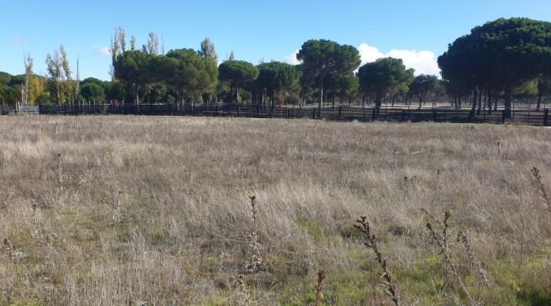 Valladolid - Aldeamayor de San Martín - 2264m2