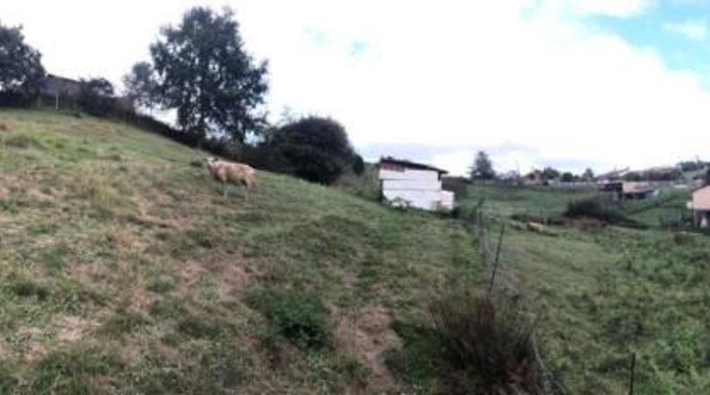 Asturias - Castiello (Lugo) - 4140m2
