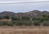 Terreny no urbanitzable en venda a la España, Lorca, ref.: TR306500 foto