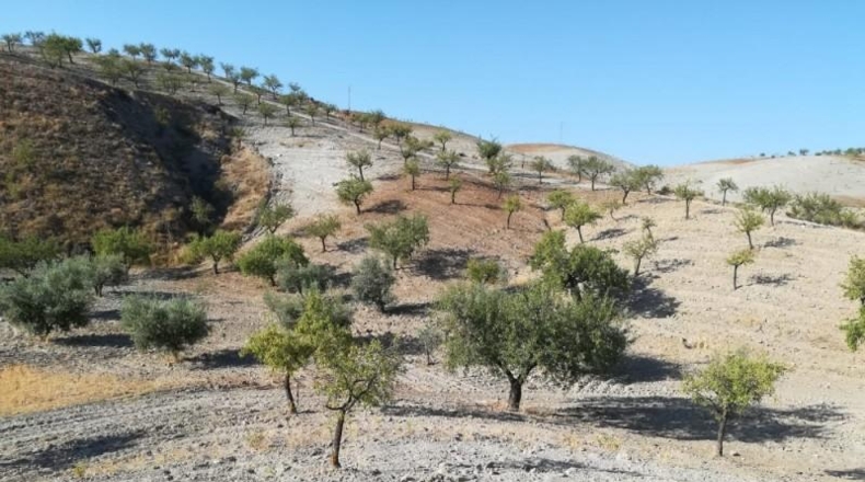 Murcia - Lorca - 69139m2