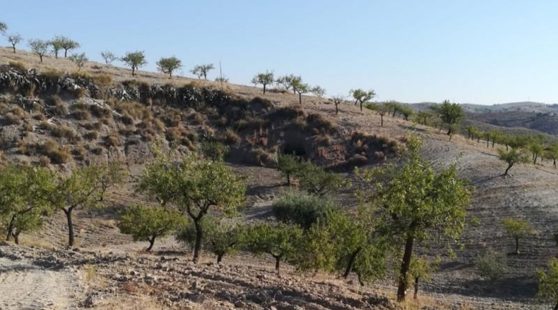 Murcia - Lorca - 69139m2
