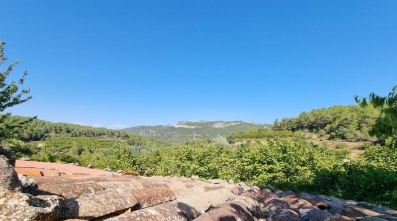 Tarragona - Tivissa - 68617m2