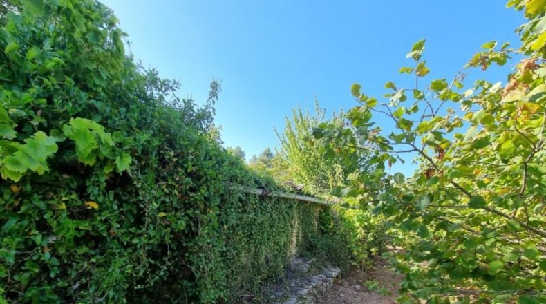 Tarragona - Tivissa - 68617m2