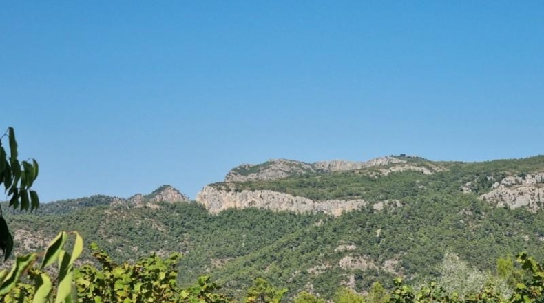 Tarragona - Tivissa - 68617m2