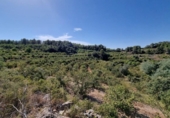 Terreny no urbanitzable en venda a la España, Tivissa, ref.: TR118604 foto