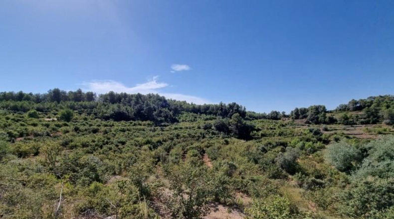 Tarragona - Tivissa - 68617m2
