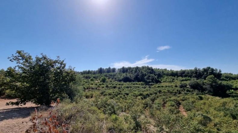 Tarragona - Tivissa - 68617m2