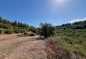 Terreny no urbanitzable en venda a la España, Tivissa, ref.: TR118604 foto