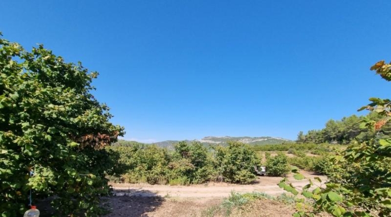 Tarragona - Tivissa - 68617m2