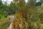 Городская земля под застройку на продажу у города Olivella Фото