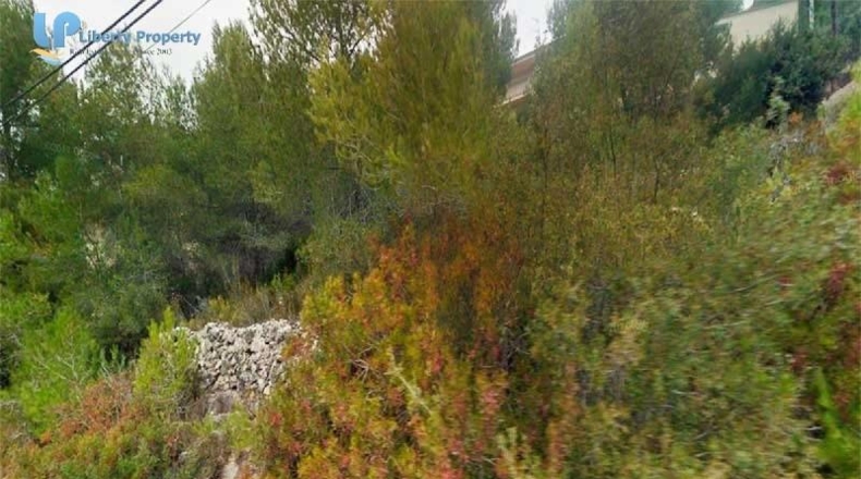 Barcelona - Olivella - 741m2