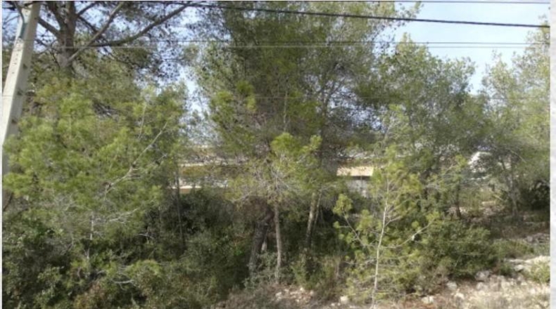 Barcelona - Olivella - 741m2