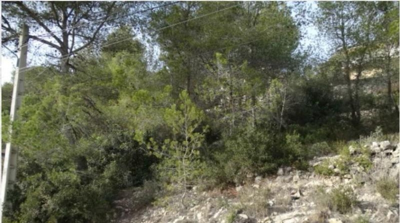 Barcelona - Olivella - 741m2