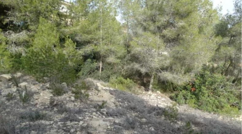 Barcelona - Olivella - 741m2