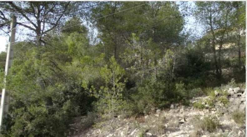Barcelona - Olivella - 741m2
