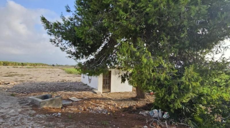 Alicante - Dolores - 7000m2