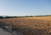 Terreny no urbanitzable en venda a la España, Dolores, ref.: TR113627 foto