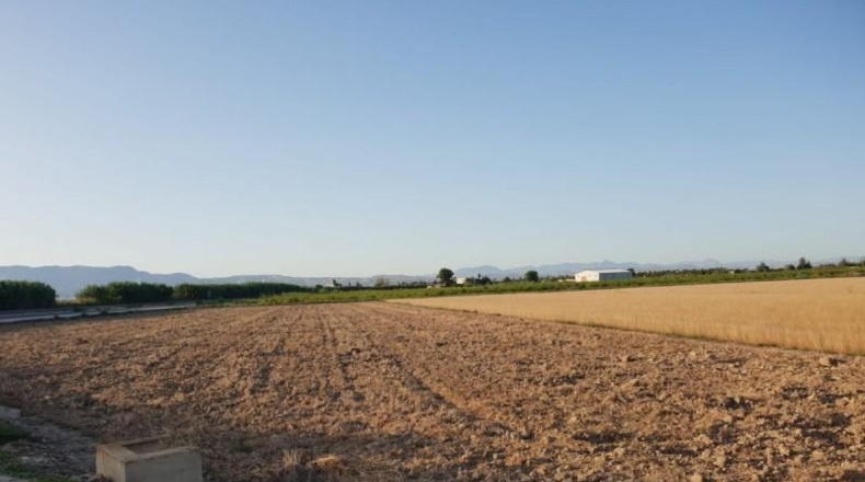 Alicante - Dolores - 7000m2