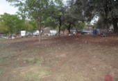 Land suitable for development for sale on España, Alcolea, ref: TR122358 photo