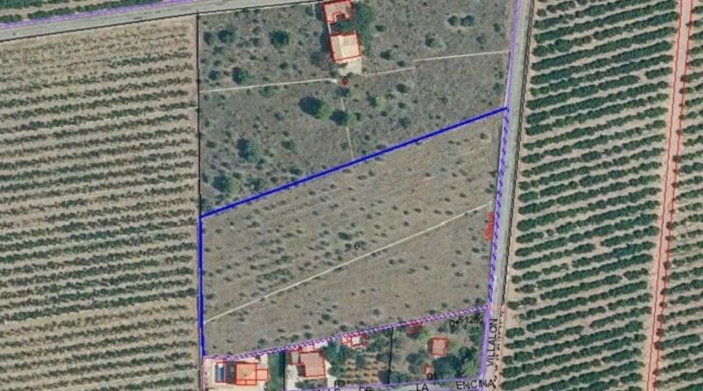 Castellón - Castellón de la Plana - 2400m2