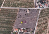 Terreny no urbanitzable en venda a la España, Castelló de la Plana, ref.: TR124480 foto