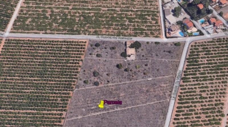 Castellón - Castellón de la Plana - 2400m2