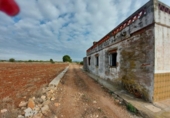 Terreny no urbanitzable en venda a la España, Vila-real, ref.: TR119961 foto