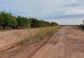 Terreny no urbanitzable en venda a la España, Vila-real, ref.: TR119961 foto